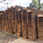 Ứng dụng cọc cừ thép larsen IV cho công trình thuỷ lợi
